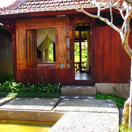 Green Taman Ubud